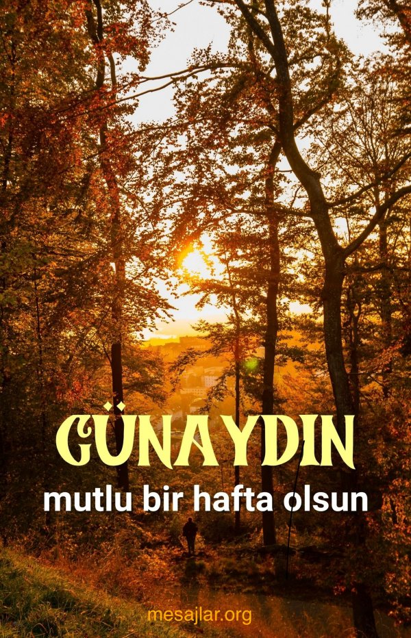 Pazartesi resimli günaydın iyi sabahlar mesajı