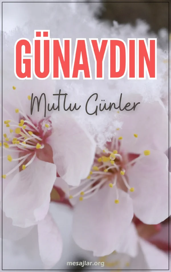resimli günaydın iyi sabahlar mesajı
