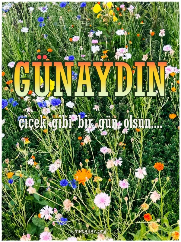 resimli günaydın iyi sabahlar mesajı