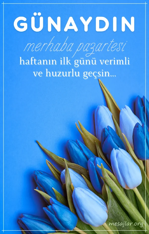 pazartesi gününe resimli günaydın iyi sabahlar mesajı