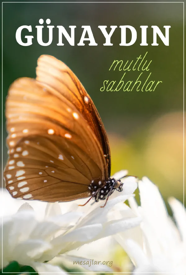 resimli günaydın iyi sabahlar mesajı