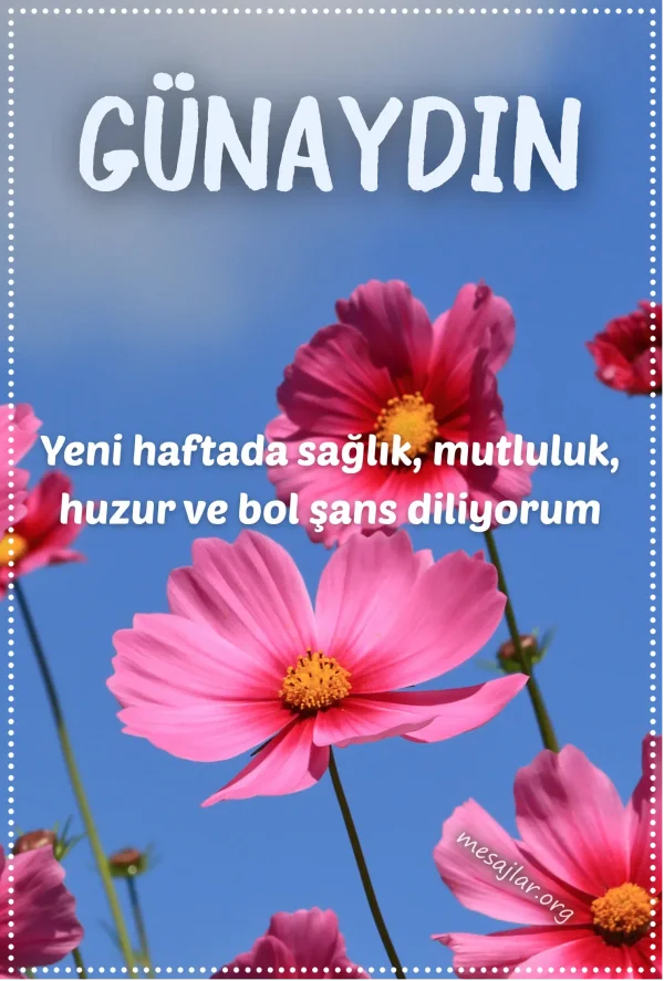 pazartesi günü için resimli günaydın iyi sabahlar mesajı