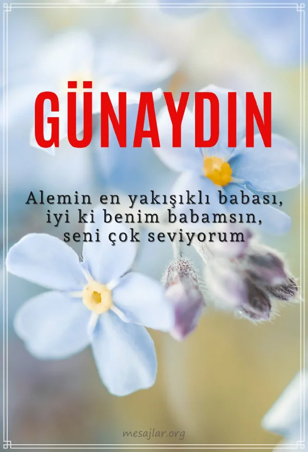 Babaya resimli günaydın iyi sabahlar mesajı