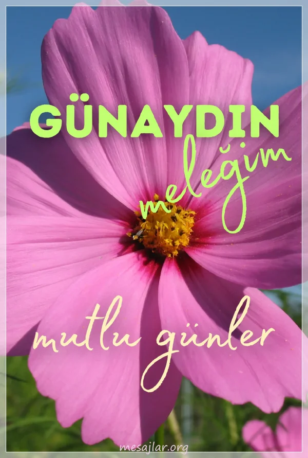 resimli günaydın meleğim mutlu günler mesajı