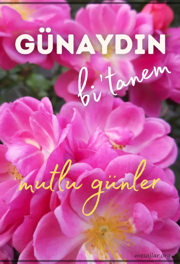 resimli günaydın bitanem mutlu günler mesajı