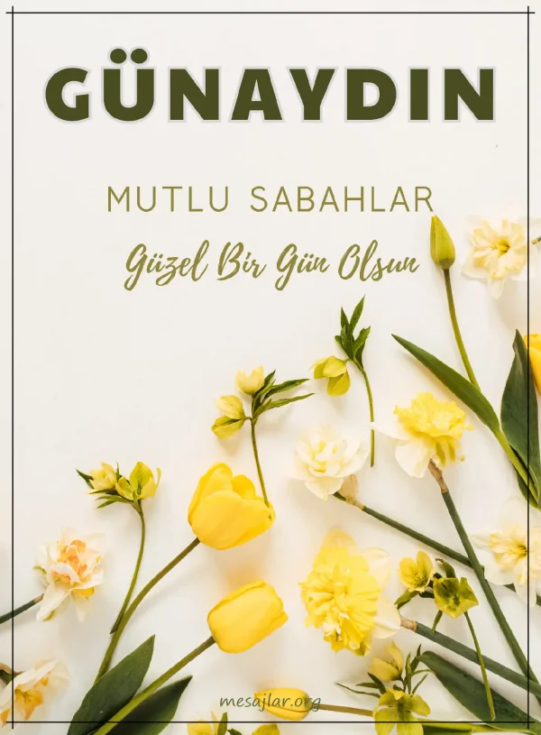 resimli günaydın iyi sabahlar mesajı