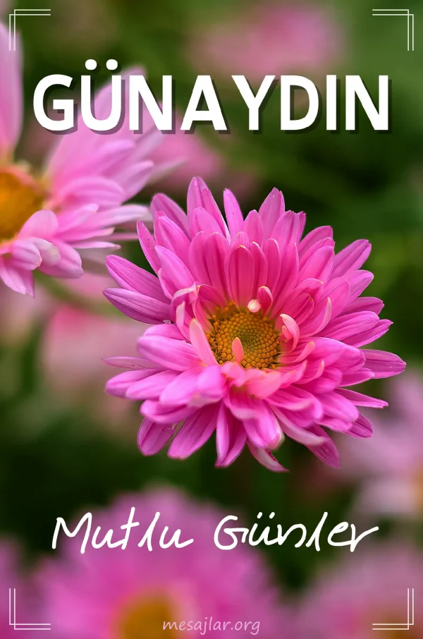 resimli günaydın iyi sabahlar mesajı