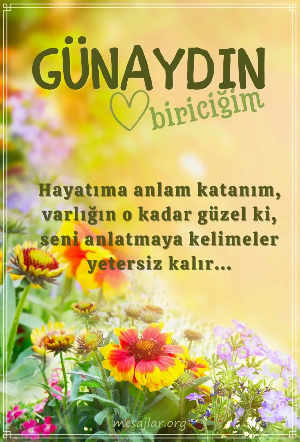 resimli günaydın biriciğim mesajı