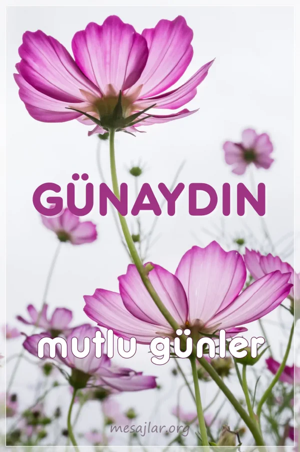 resimli günaydın iyi sabahlar mesajı