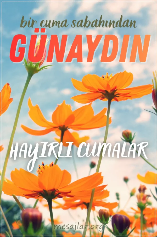 resimli günaydın hayırlı cumalar mesajı