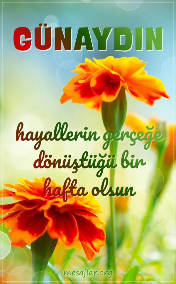 pazartesi günü resimli günaydın iyi sabahlar mesajı