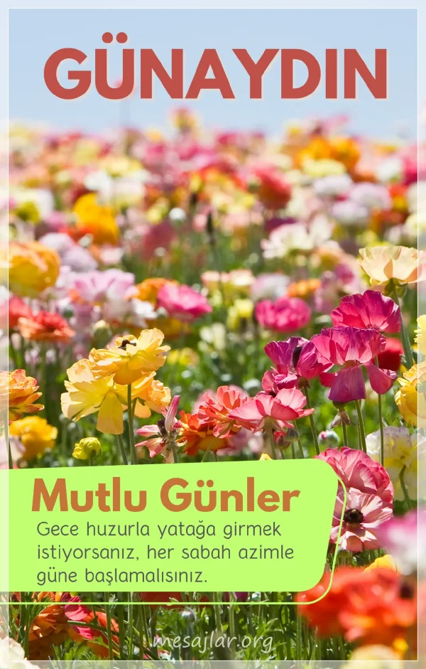 resimli günaydın iyi sabahlar mesajı