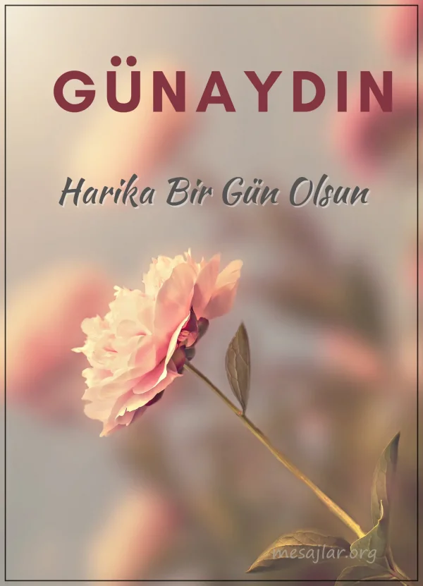 resimli günaydın iyi sabahlar mesajı