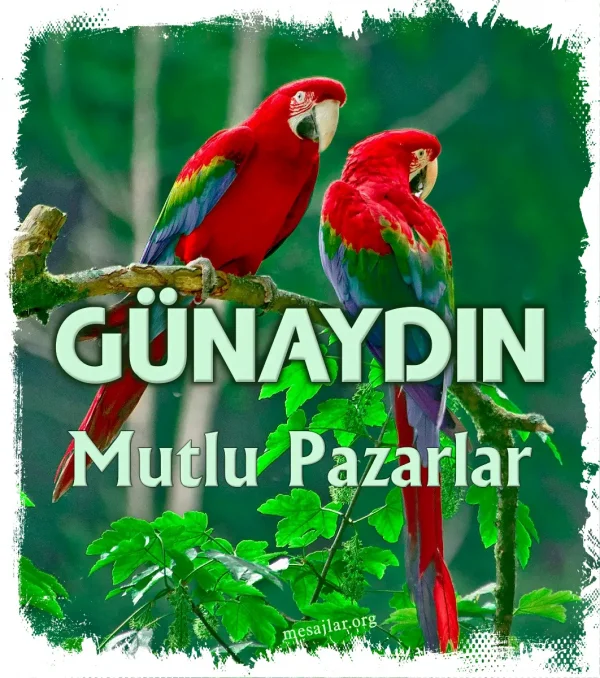 resimli günaydın mutlu pazarlar mesajı