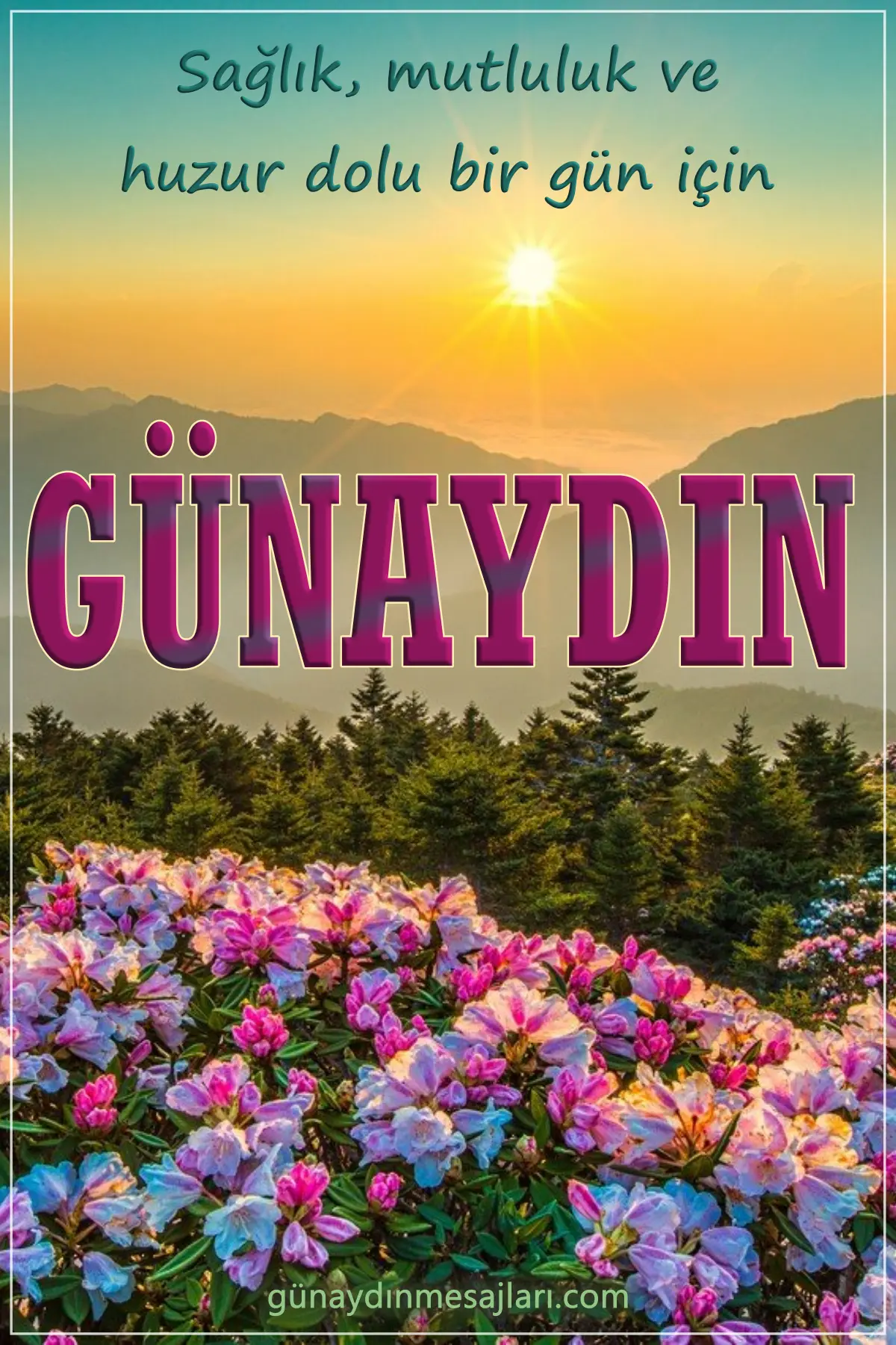 resimli günaydın mesajı