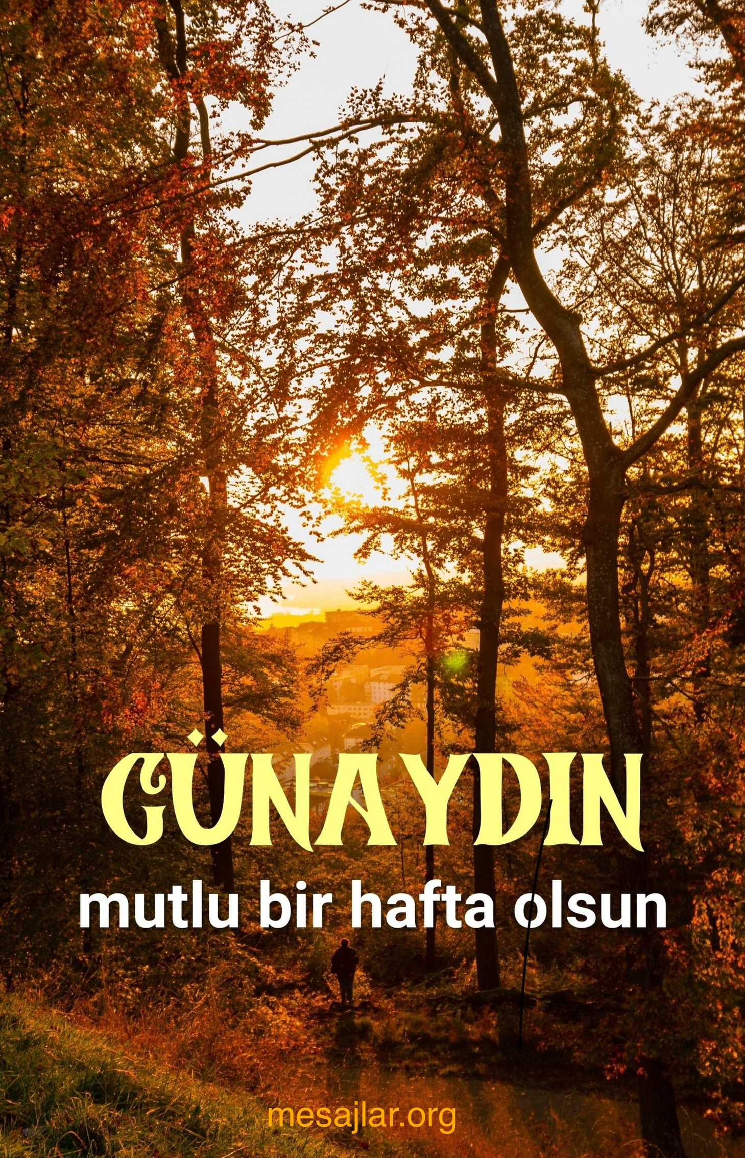 Pazartesi resimli günaydın iyi sabahlar mesajı