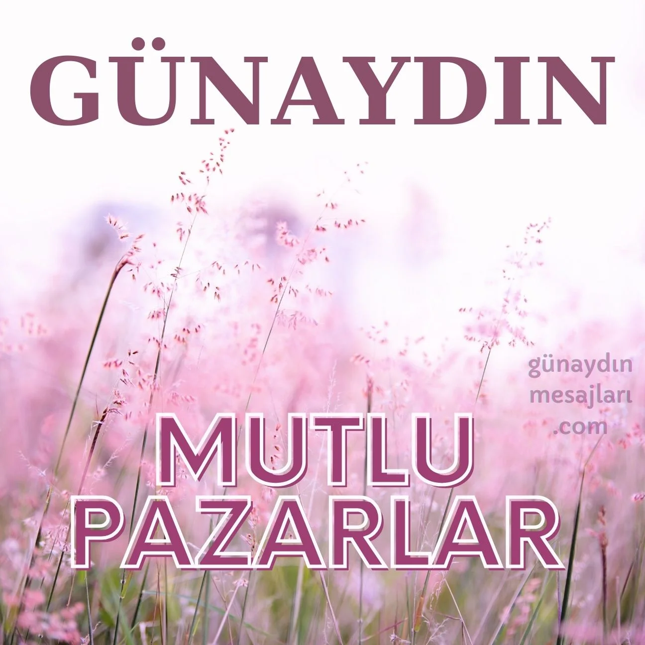 pazar günü resimli günaydın mesajı