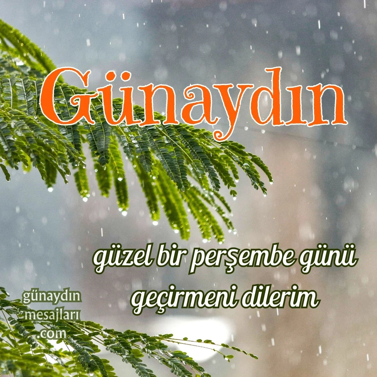 perşembe günü resimli günaydın mesajı