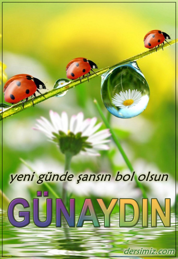 resimli günaydın iyi sabahlar mesajı
