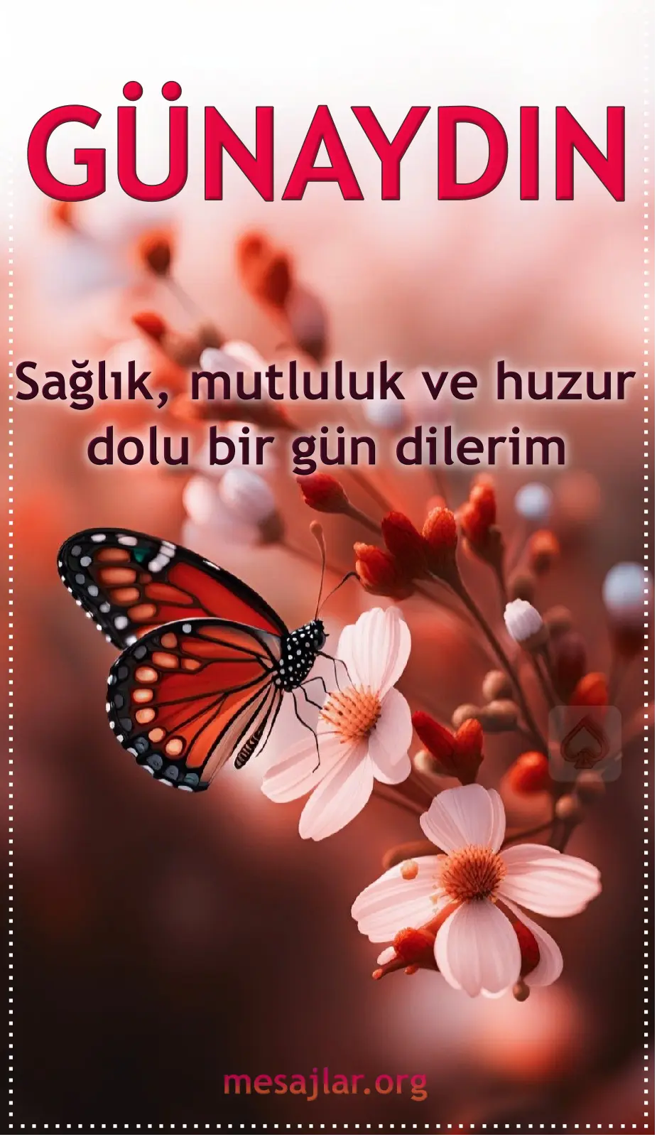 resimli günaydın mutlu günler mesajı