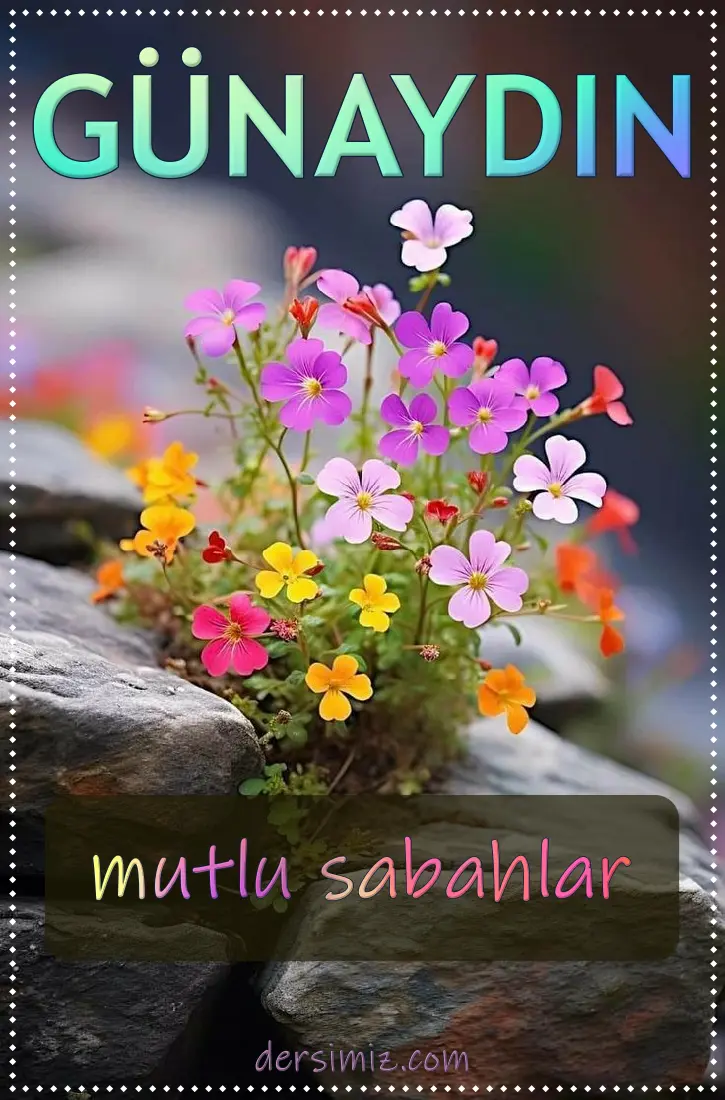 resimli günaydın mutlusabahlar mesajı