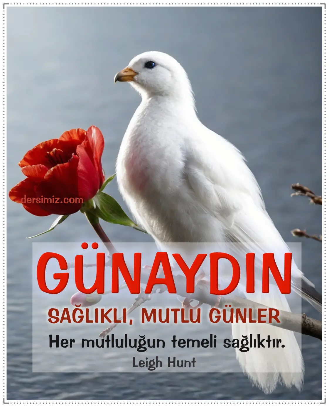 resimli günaydın iyi sabahlar mesajı