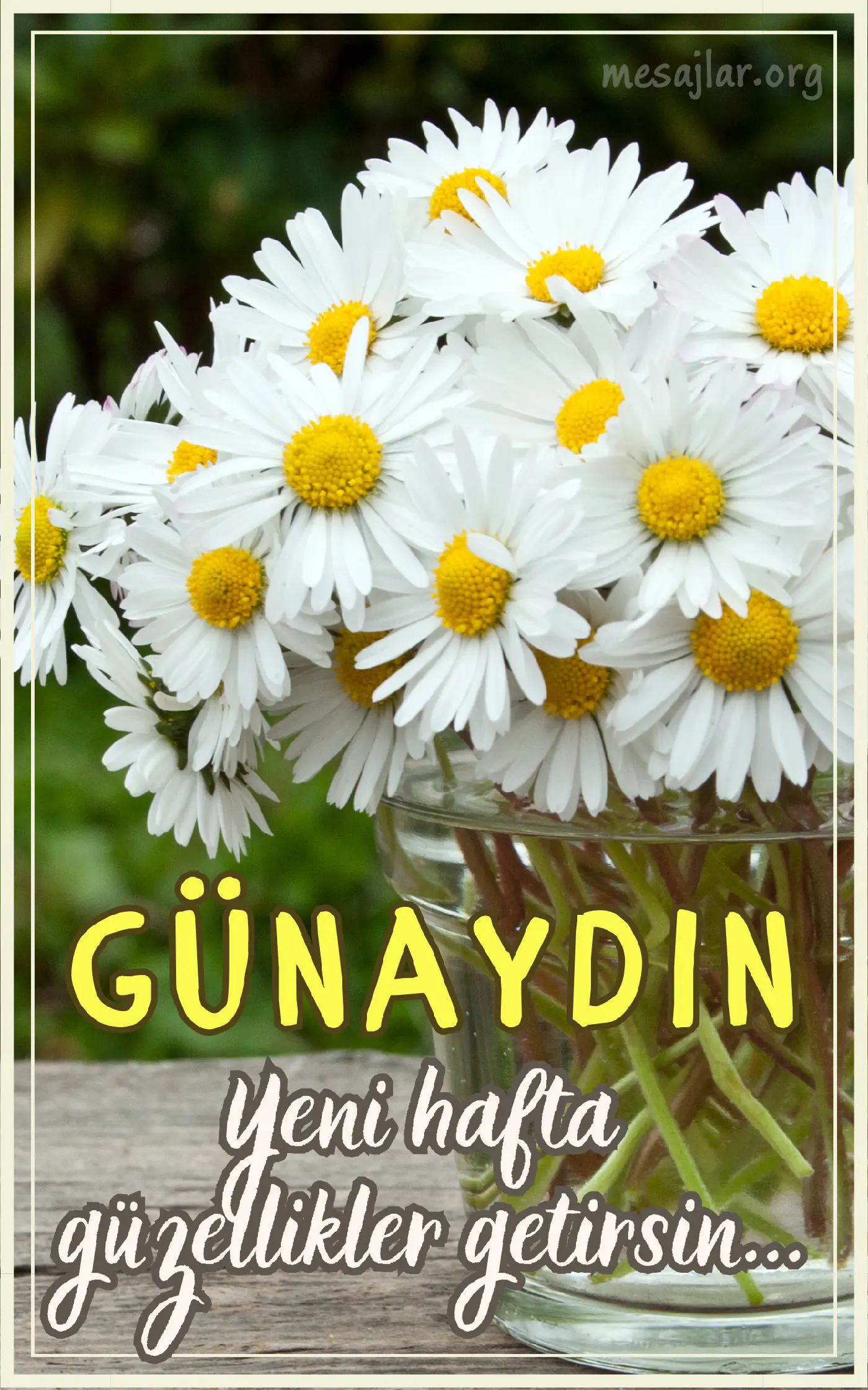 Pazartesi günü için resimli günaydın mesajı