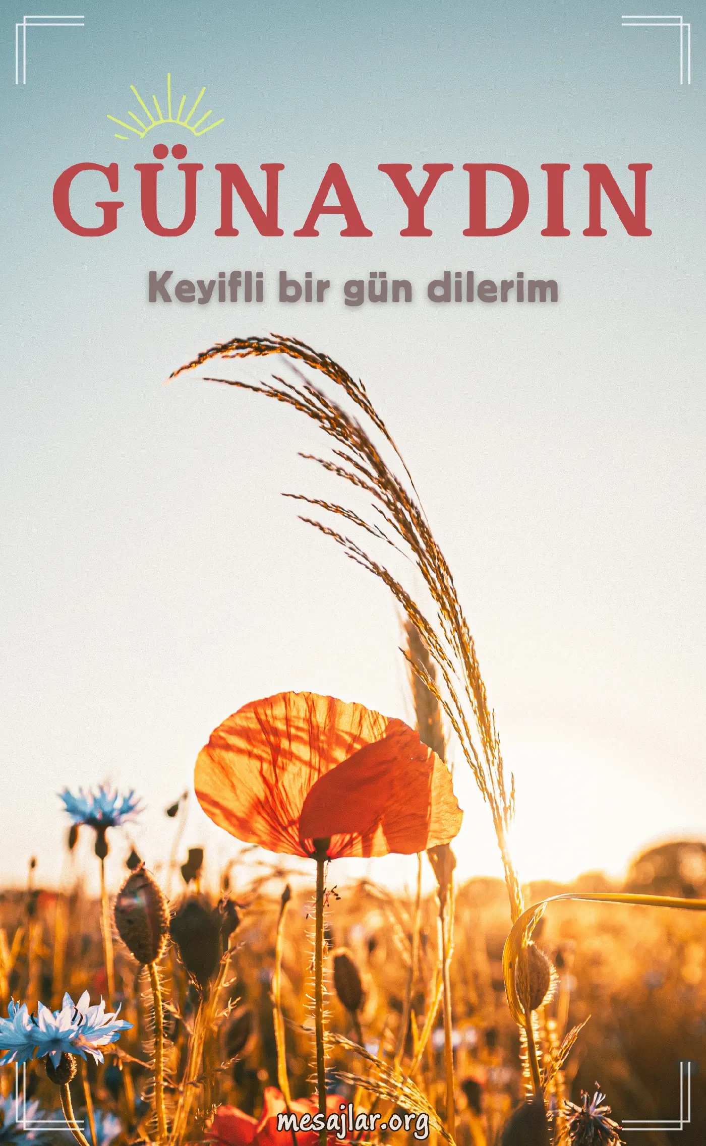 Arkadaşa resimli günaydın mesajı