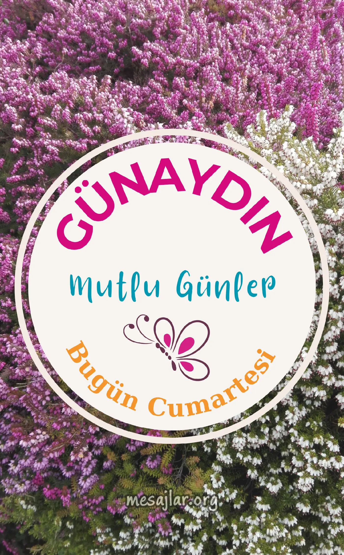 Hafta sonu resimli günaydın mesajı