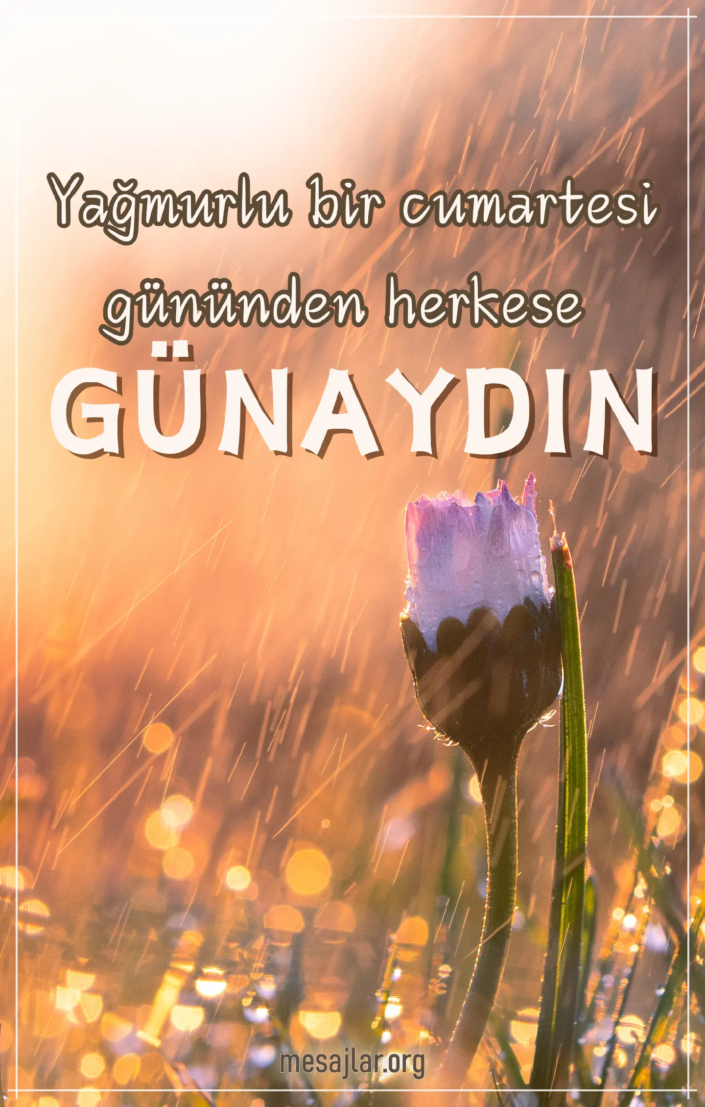 Cumartesi resimli günaydın mutlu sabahlar mesajı