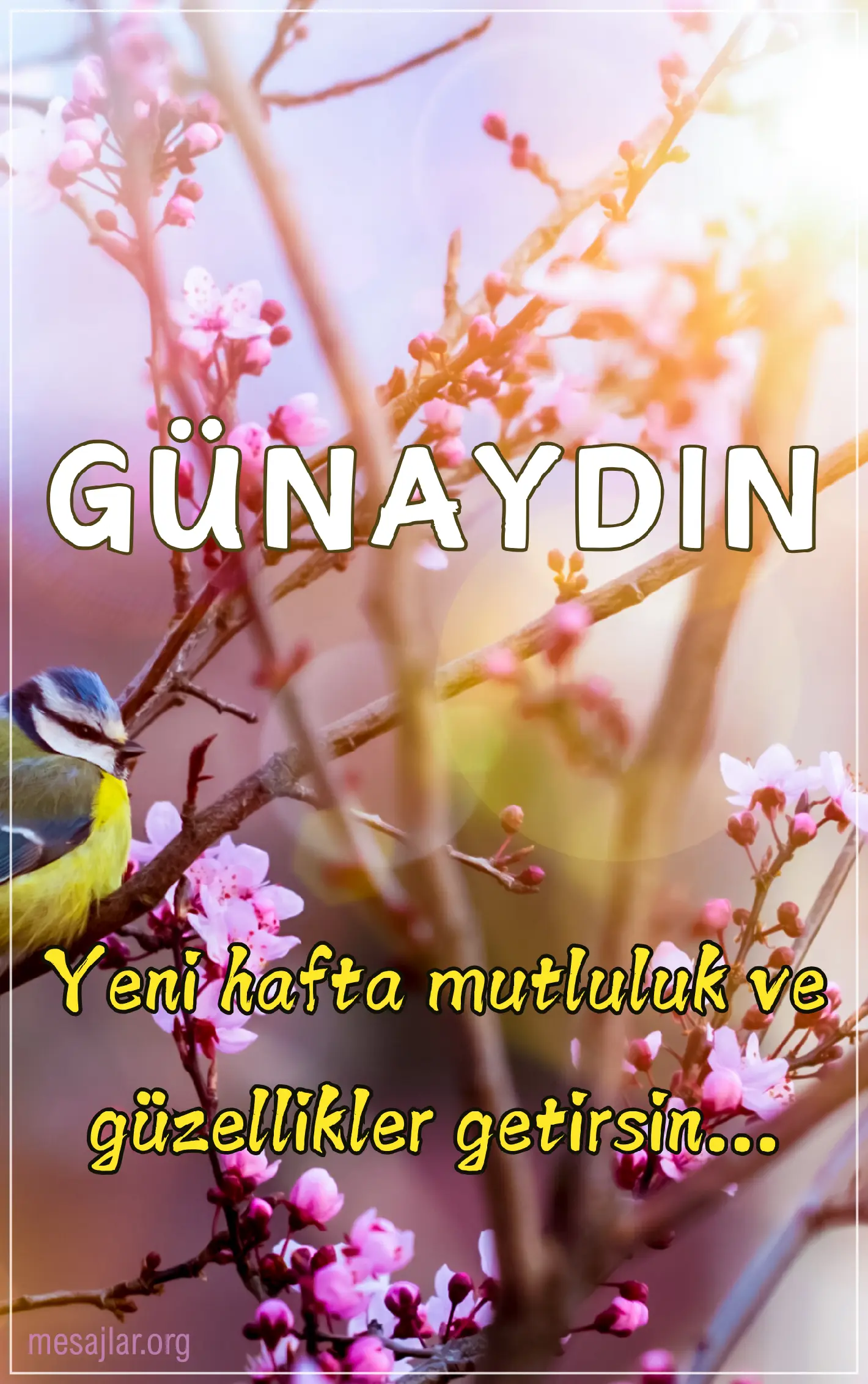 Hafta başı resimli günaydın iyi sabahlar mesajı