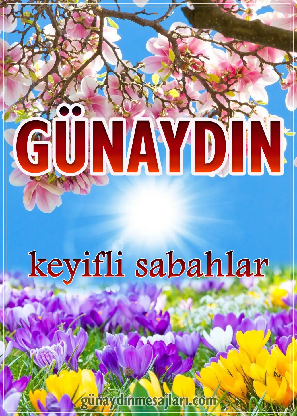 resimli çiçekli güneşli günaydın mesajı