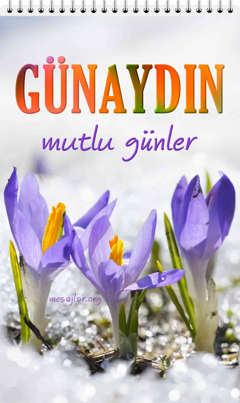 resimli günaydın mutlu günler mesajı