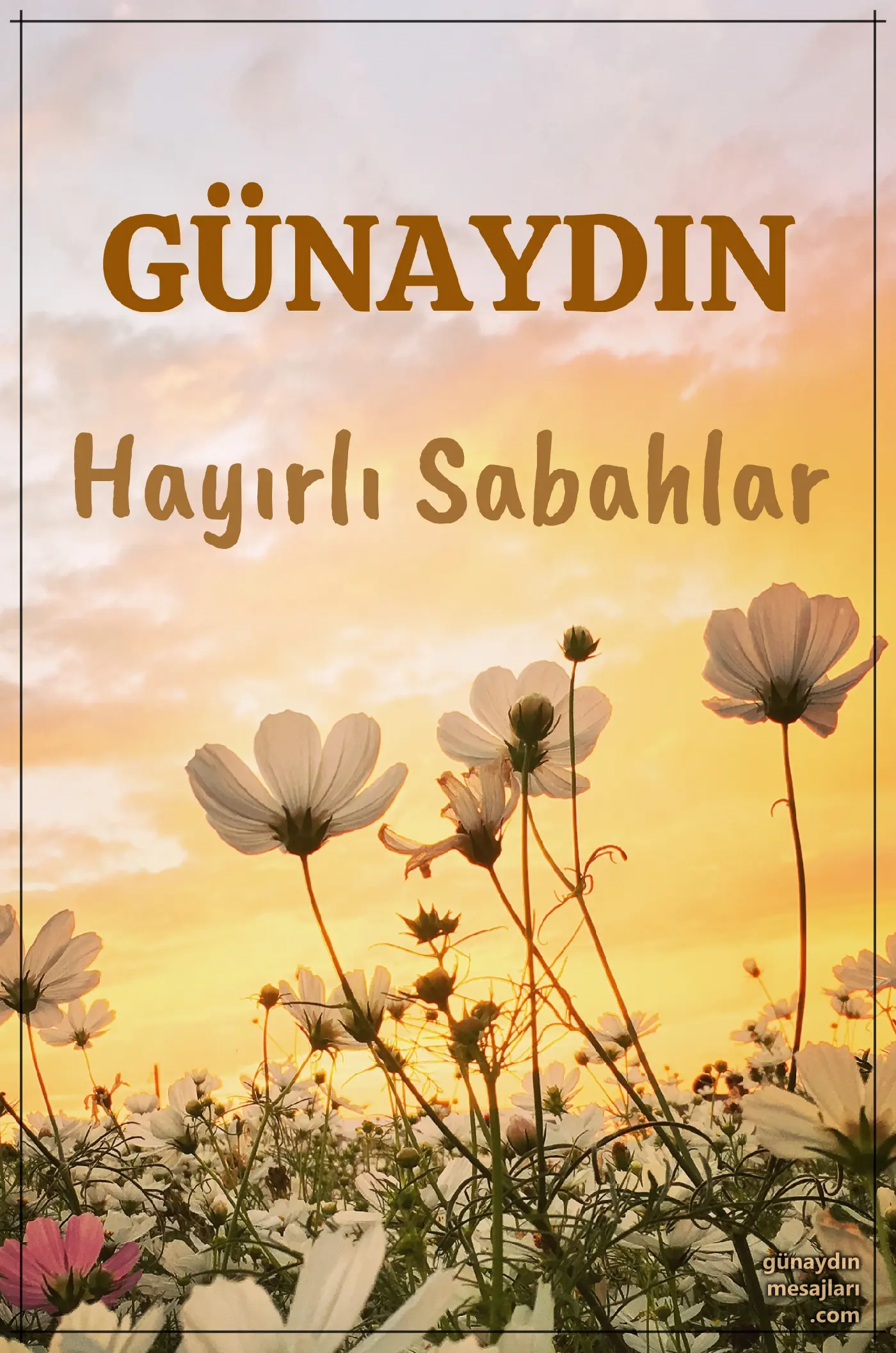resimli günaydın hayırlı sabahlar mesajı