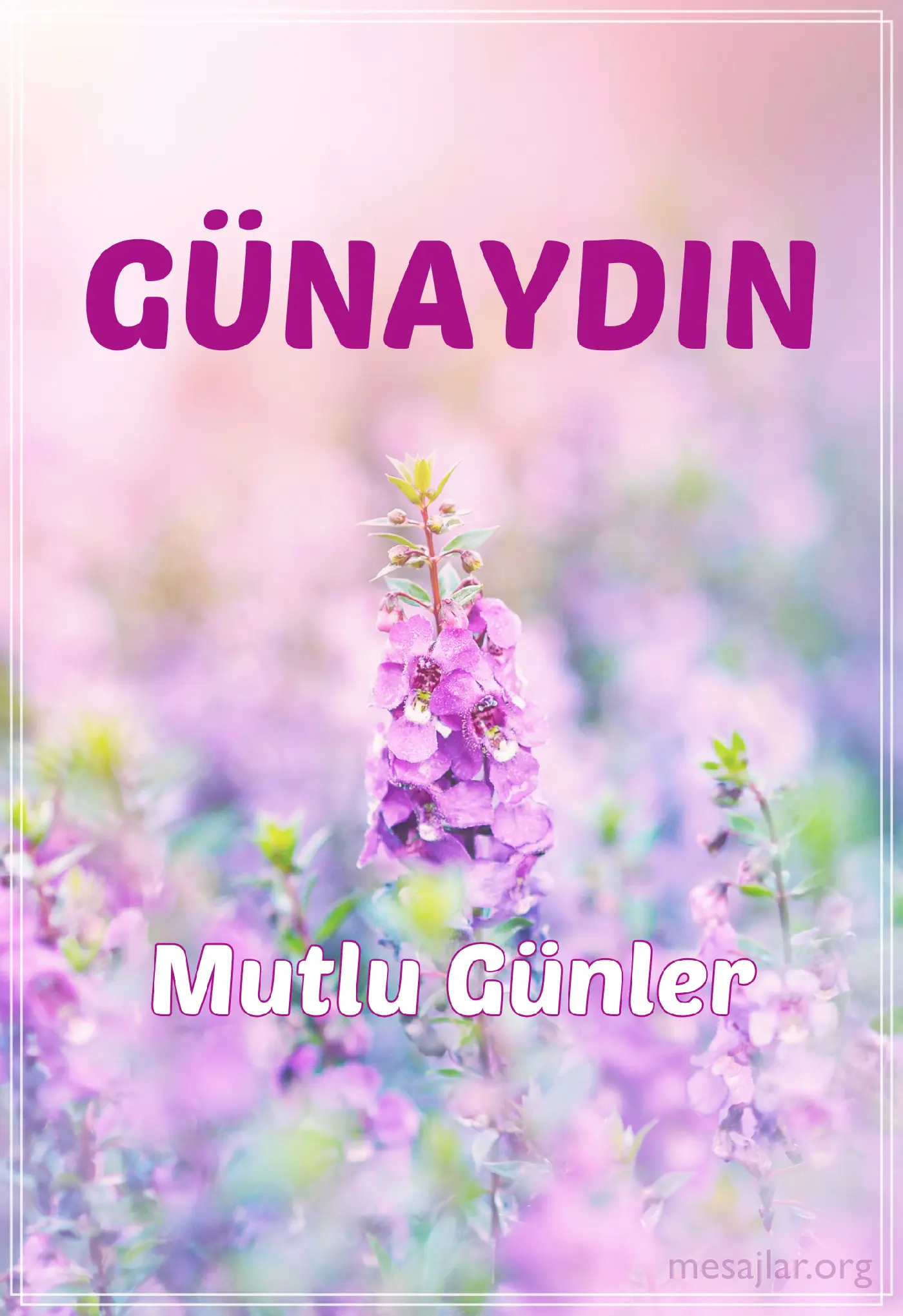 resimli günaydın iyi sabahlar mesajı