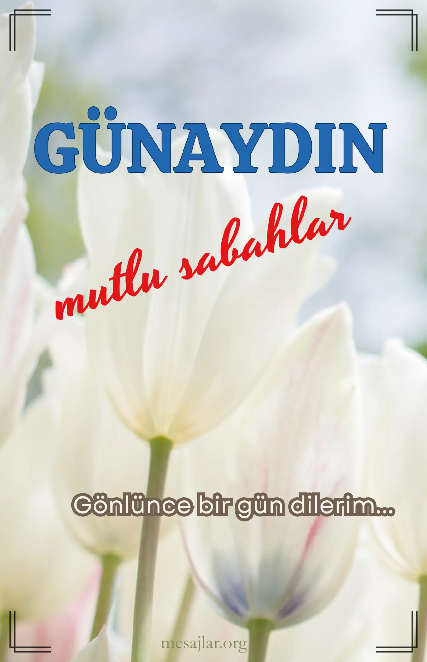 resimli günaydın iyi sabahlar mesajı