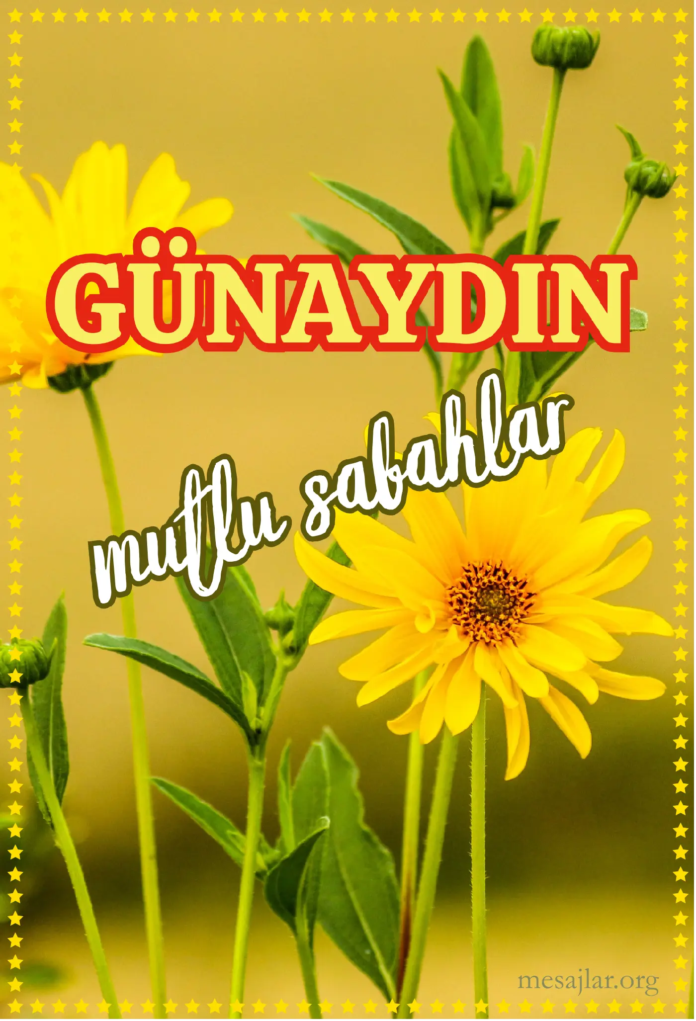 resimli günaydın iyi sabahlar mesajı