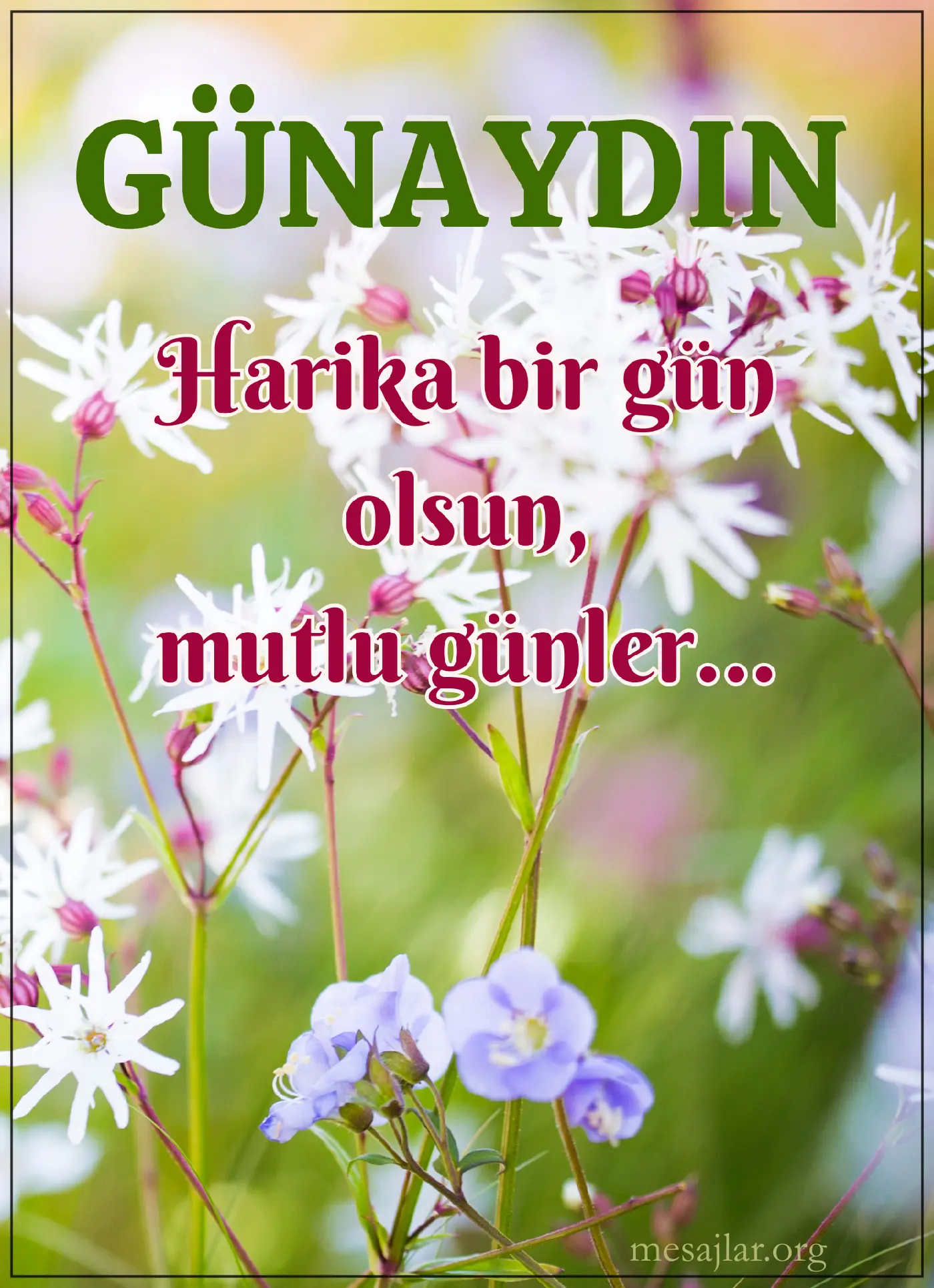 resimli günaydın iyi sabahlar mesajı