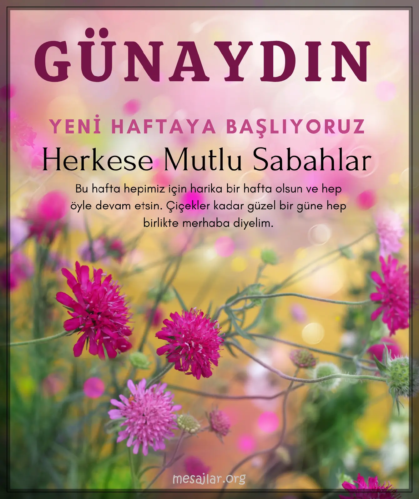 pazartesi günü için resimli günaydın mesajı