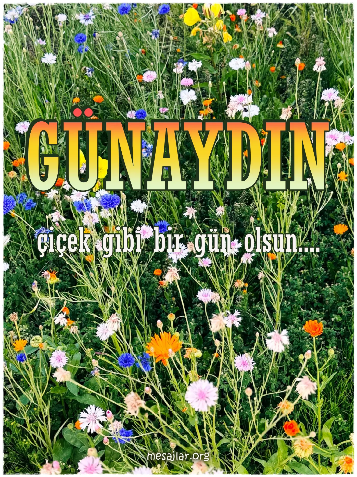 resimli günaydın iyi sabahlar mesajı