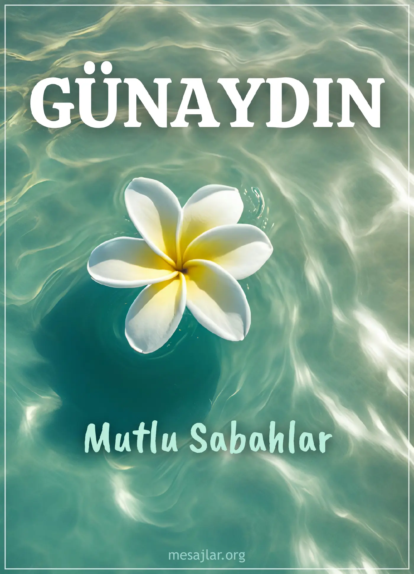 yaz mevsimi resimli günaydın mutlu sabahlar mesajı