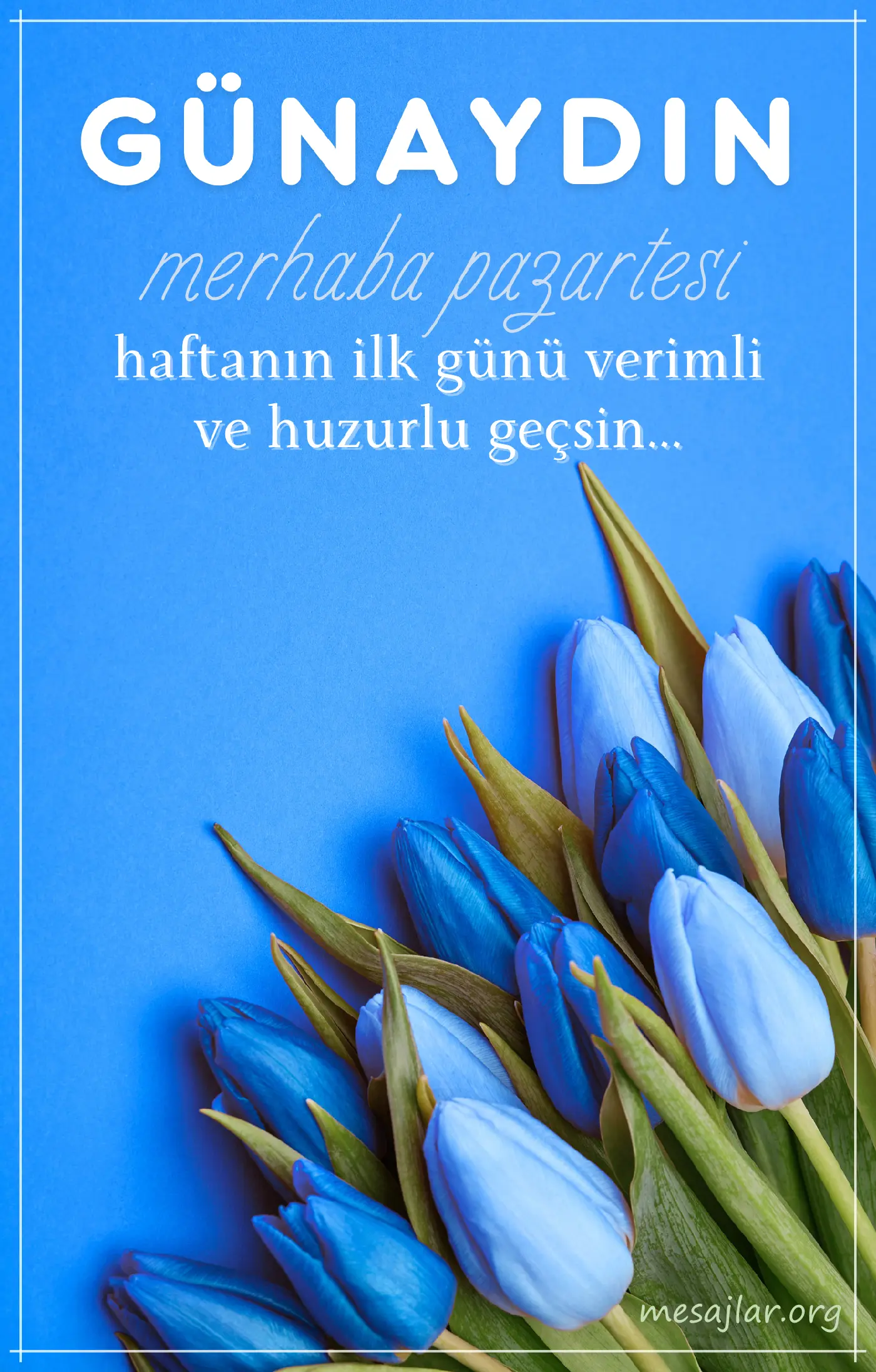 pazartesi gününe resimli günaydın iyi sabahlar mesajı