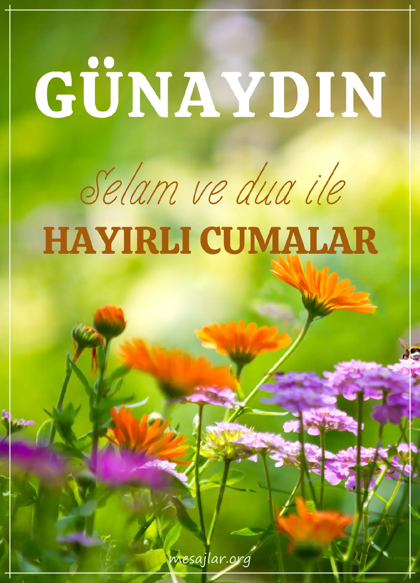 resimli günaydın hayırlı cumalar mesajı