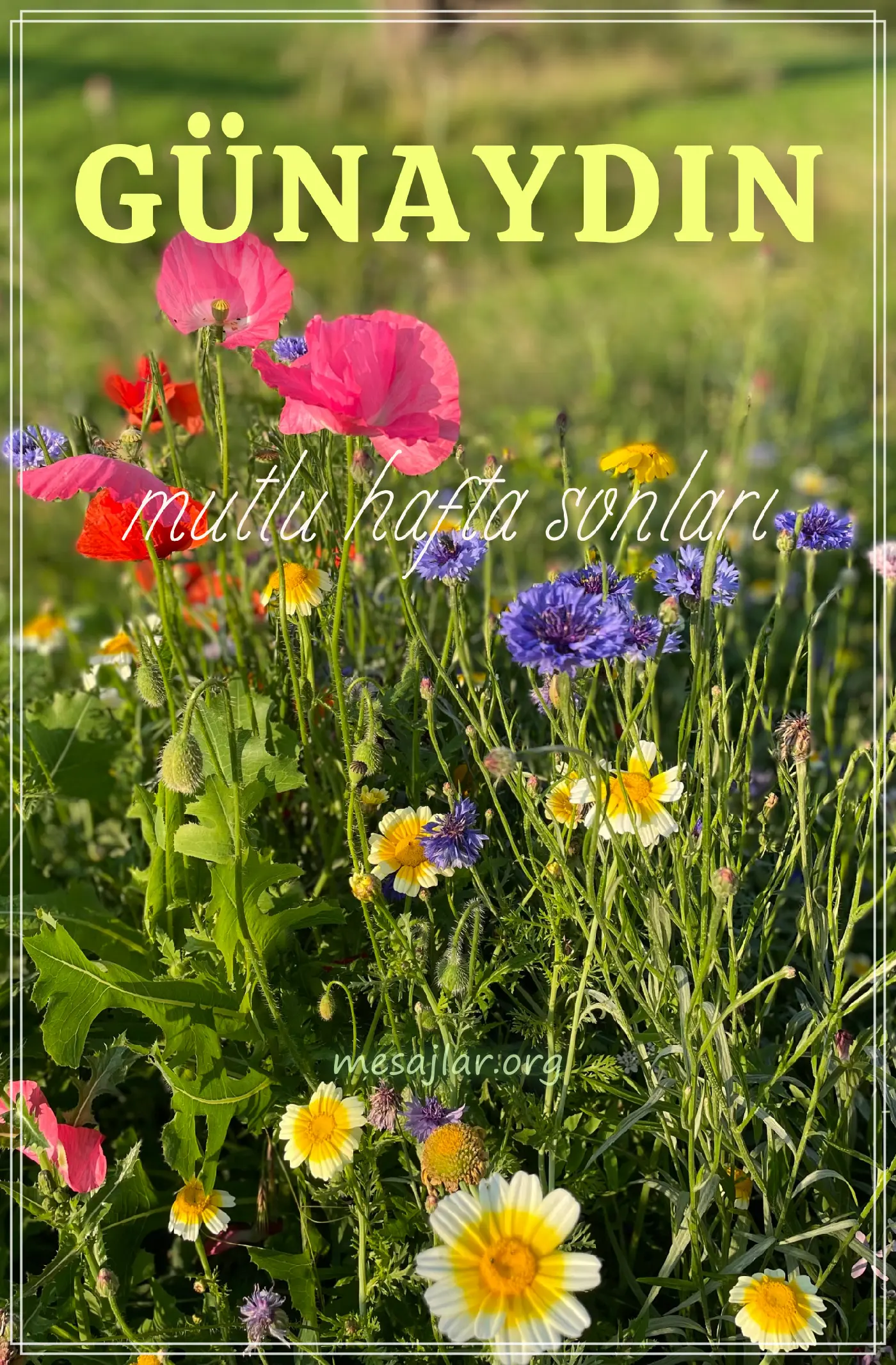 cumartesi resimli günaydın iyi sabahlar mesajı