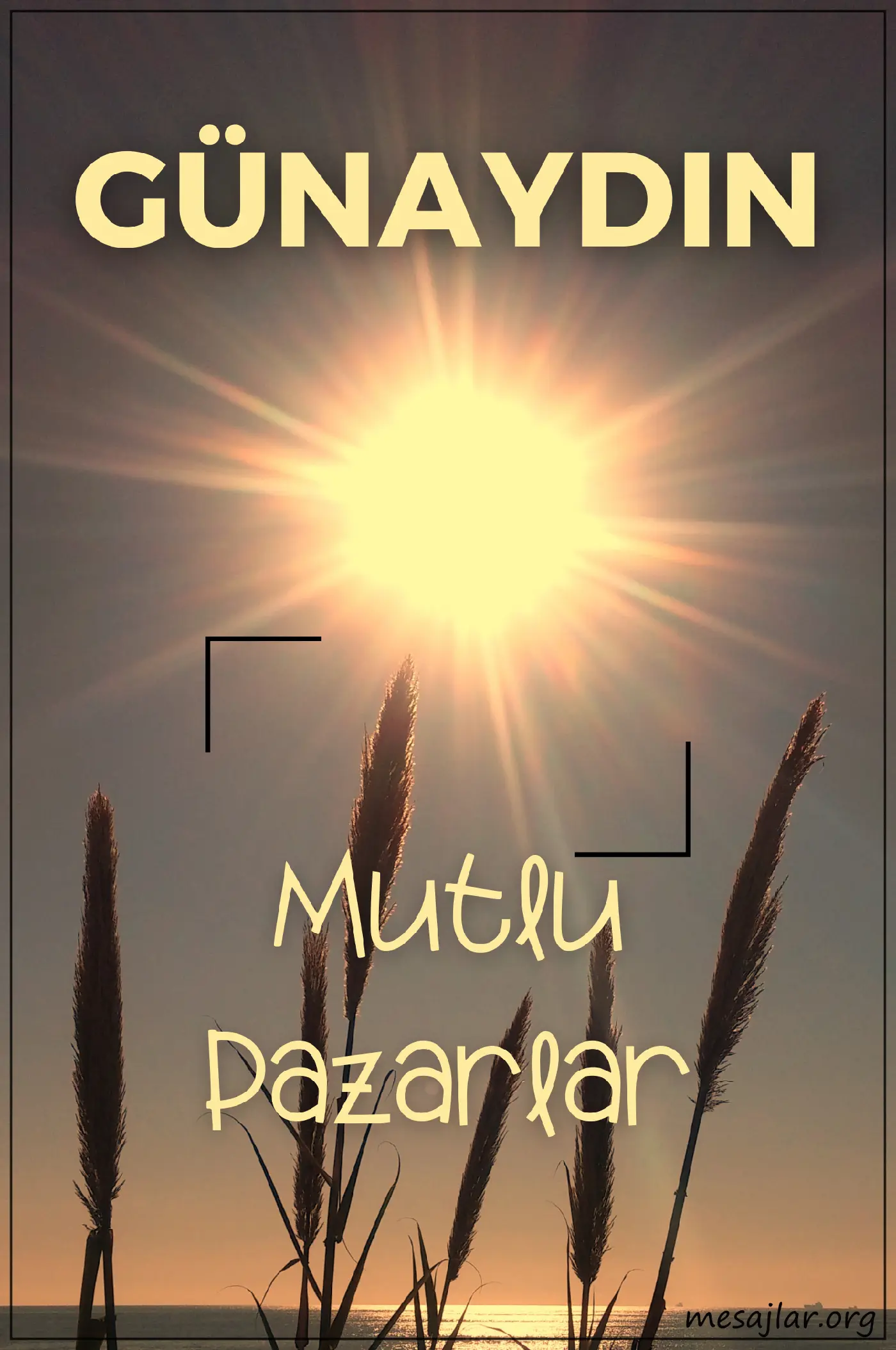 resimli günaydın mutlu pazarlar mesajı