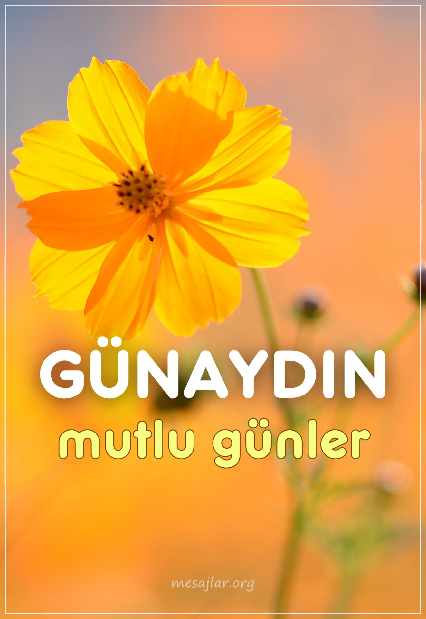 resimli günaydın iyi sabahlar mesajı