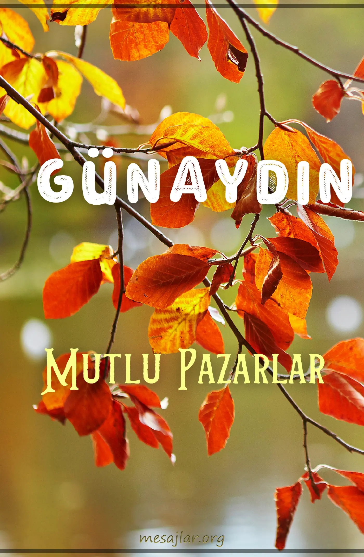 resimli günaydın mutlu pazarlar mesajı