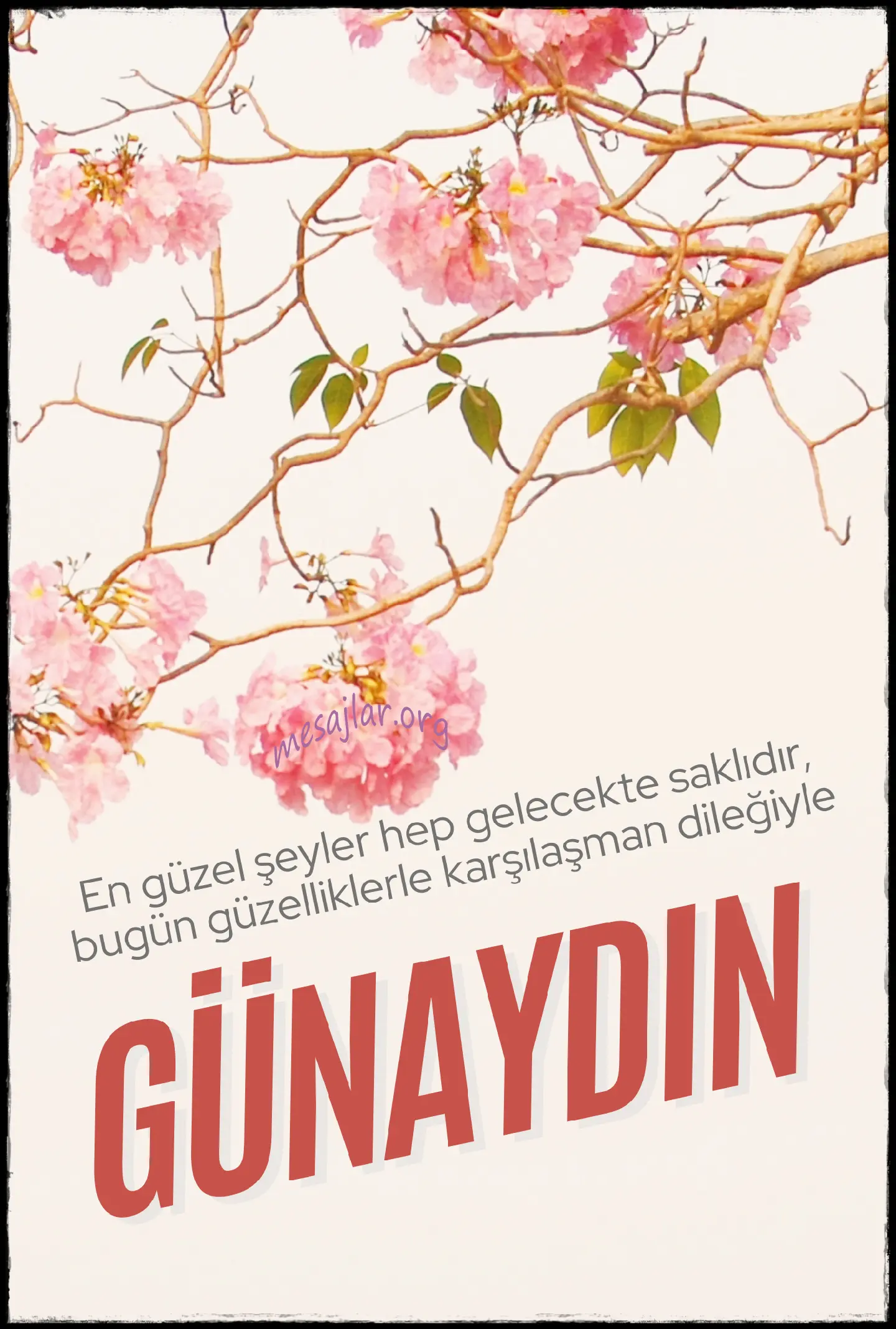 resimli günaydın iyi sabahlar mesajı