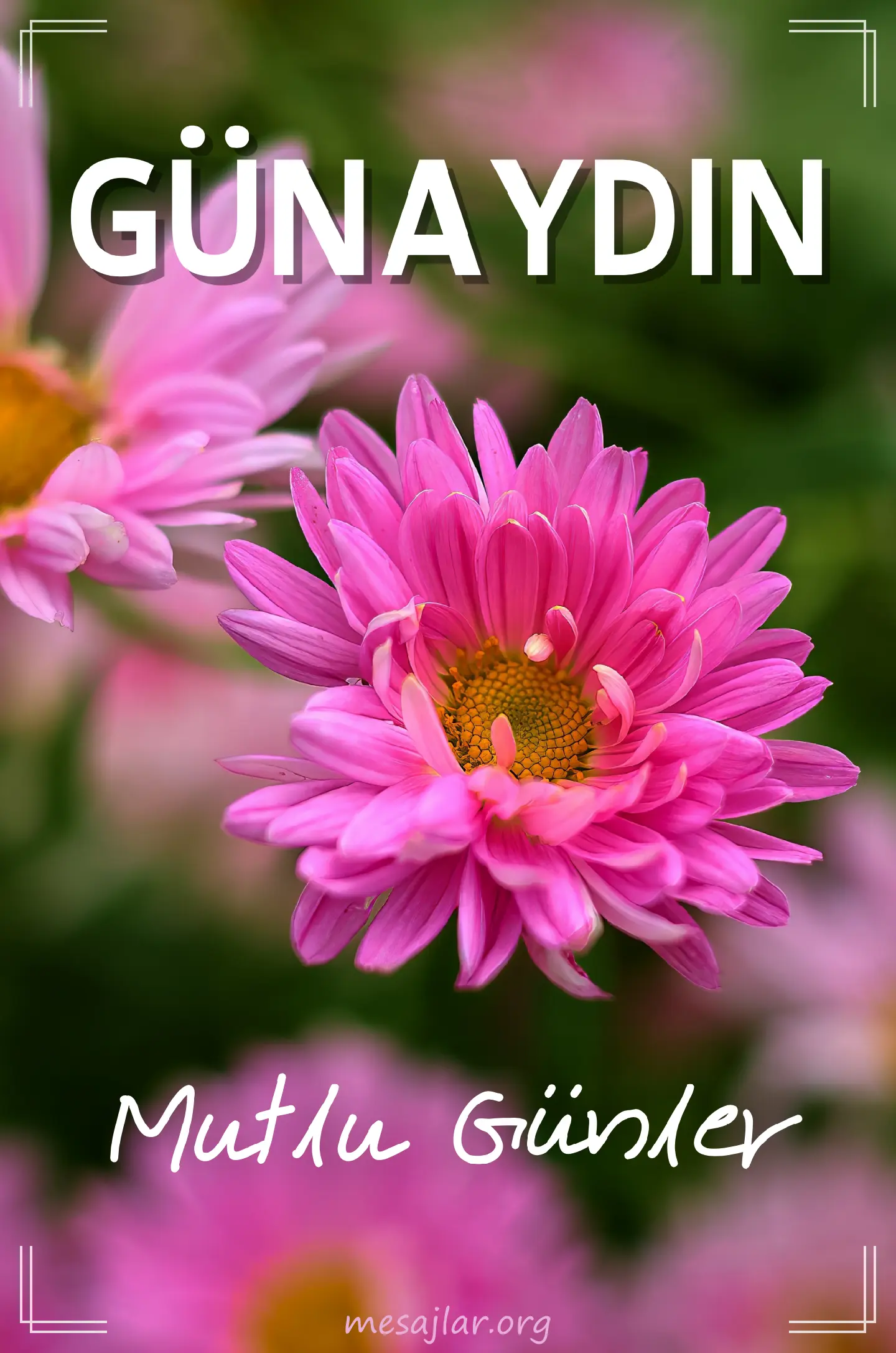 resimli günaydın iyi sabahlar mesajı