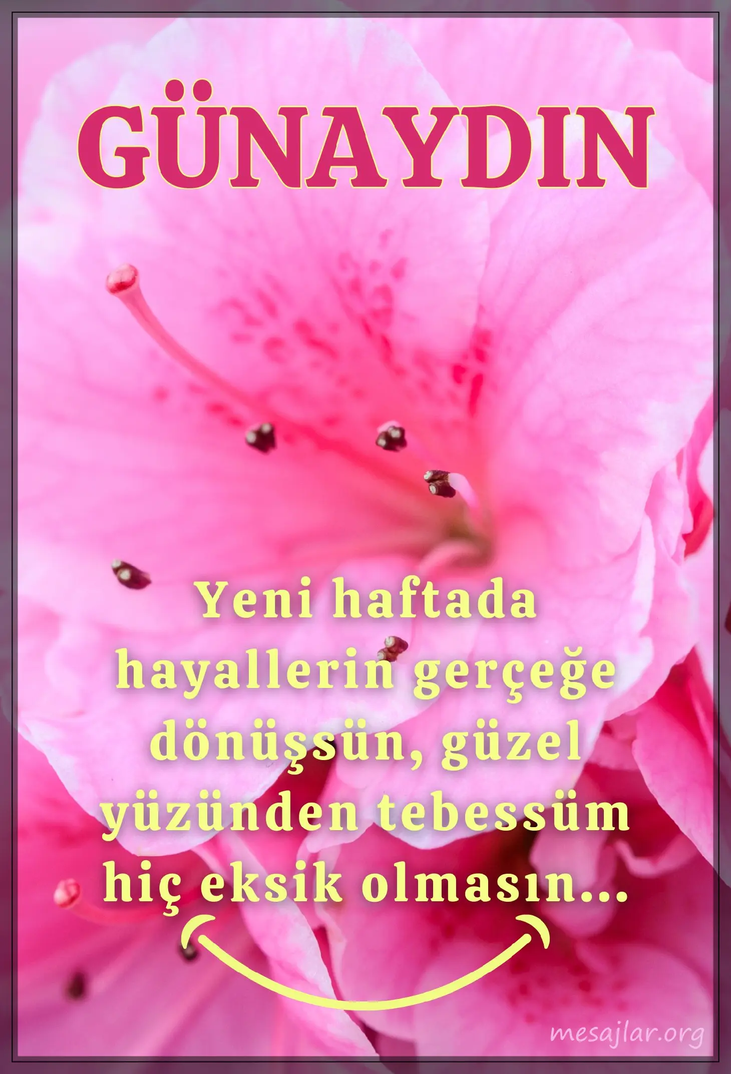 pazartesi günü resimli günaydın iyi sabahlar mesajı